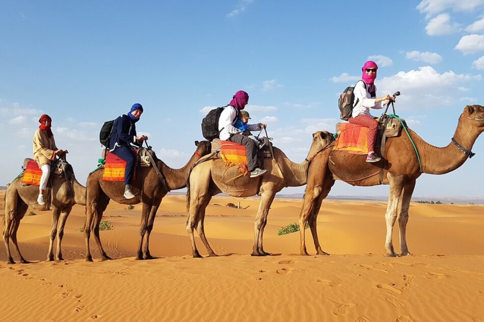 Camel Trekking in Morocco: The Ultimate Guide to Exploring the Sahara