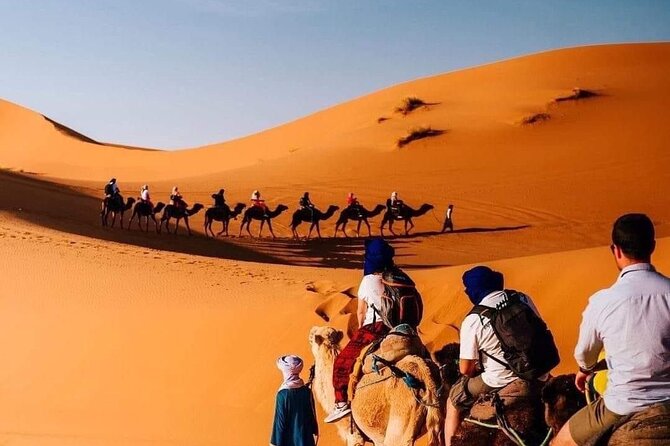 Desert Tour Marrakech: An Unforgettable Adventure