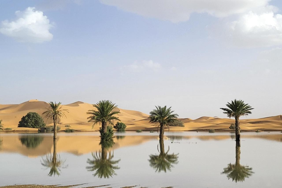 Desert au Maroc : Aventures entre dunes et traditions berbères