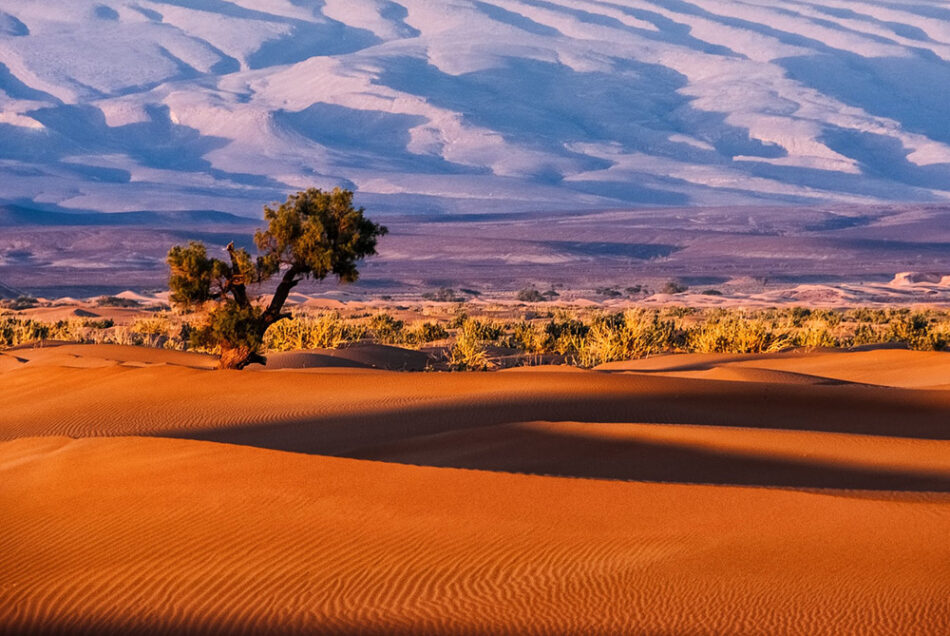 Desert du Maroc : Aventures inoubliables au cœur du Sahara