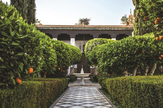 Les Jardins du Maroc : Un Voyage au Cœur de la Beauté