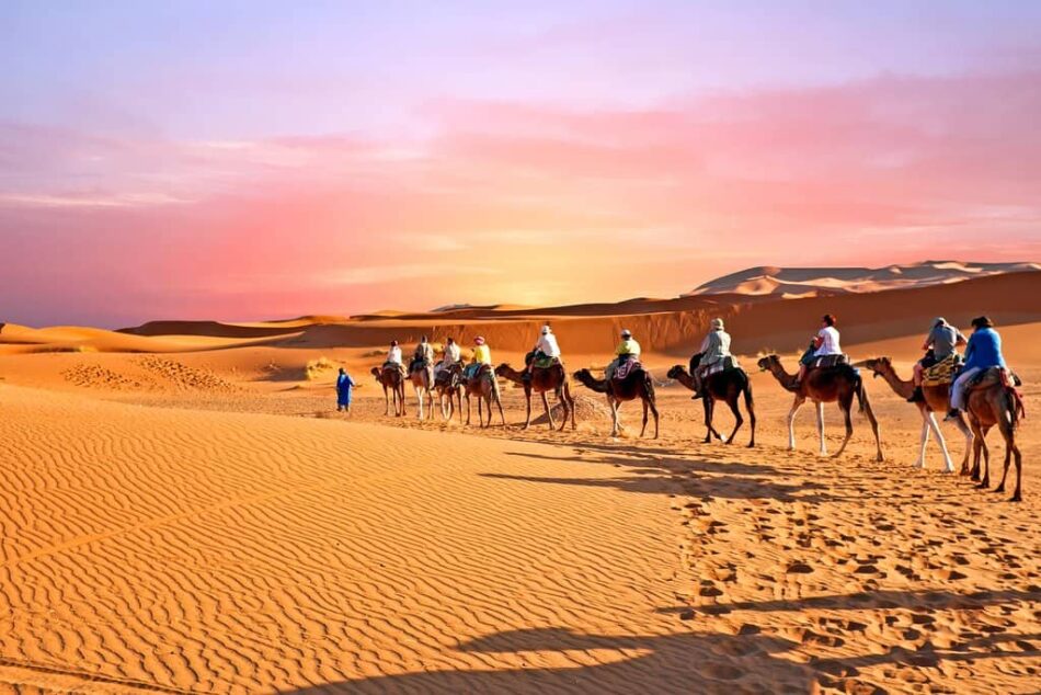 Morocco Camel Tours: The Ultimate Desert Adventure for Travelers.