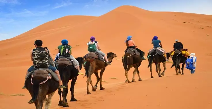 Morocco Camel Ride | The Ultimate Desert Adventure for Every Traveler