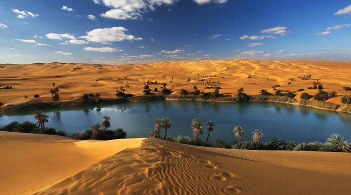 Oasis Desierto en Marruecos: Preguntas Clave Antes de Tu Viaje