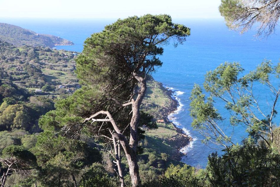 Tanger activités : 10 expériences incontournables pour découvrir Tanger au Maroc