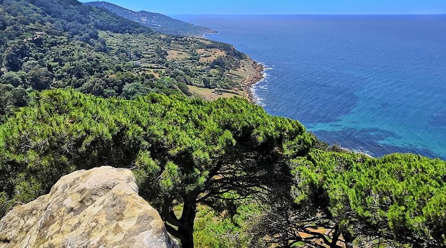 Parc Perdicaris à Tanger – Une Oasis Naturelle à Découvrir
