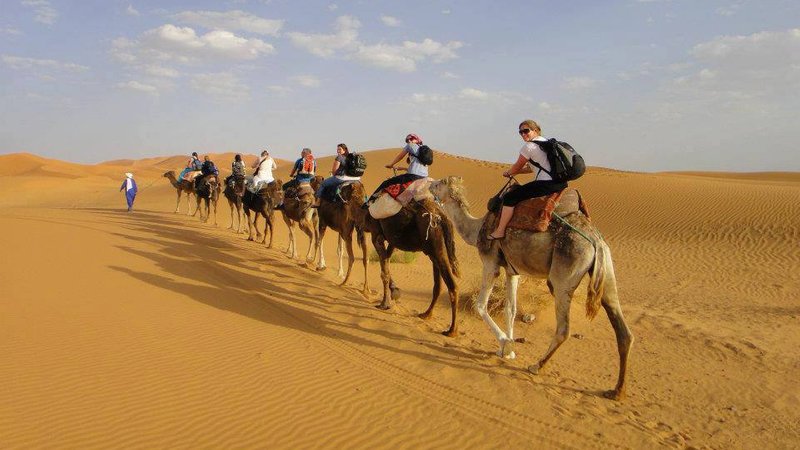 Safari en Marruecos: Una Aventura inolvidable entre dunas