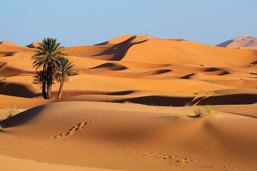Sahara de Marruecos: Aventuras Inolvidables en el Desierto