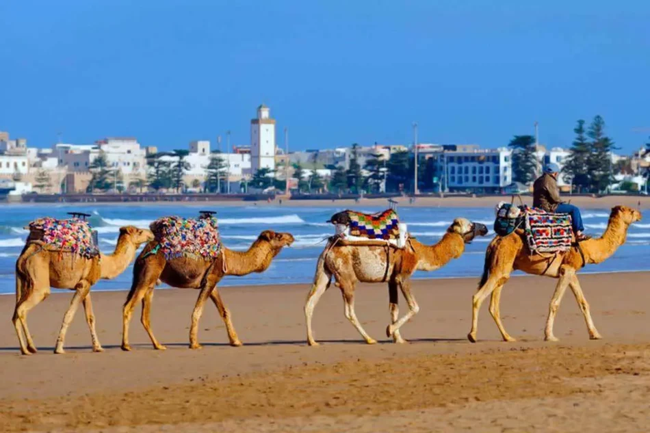 Turismo en Marruecos: Guía Completa con Lugares