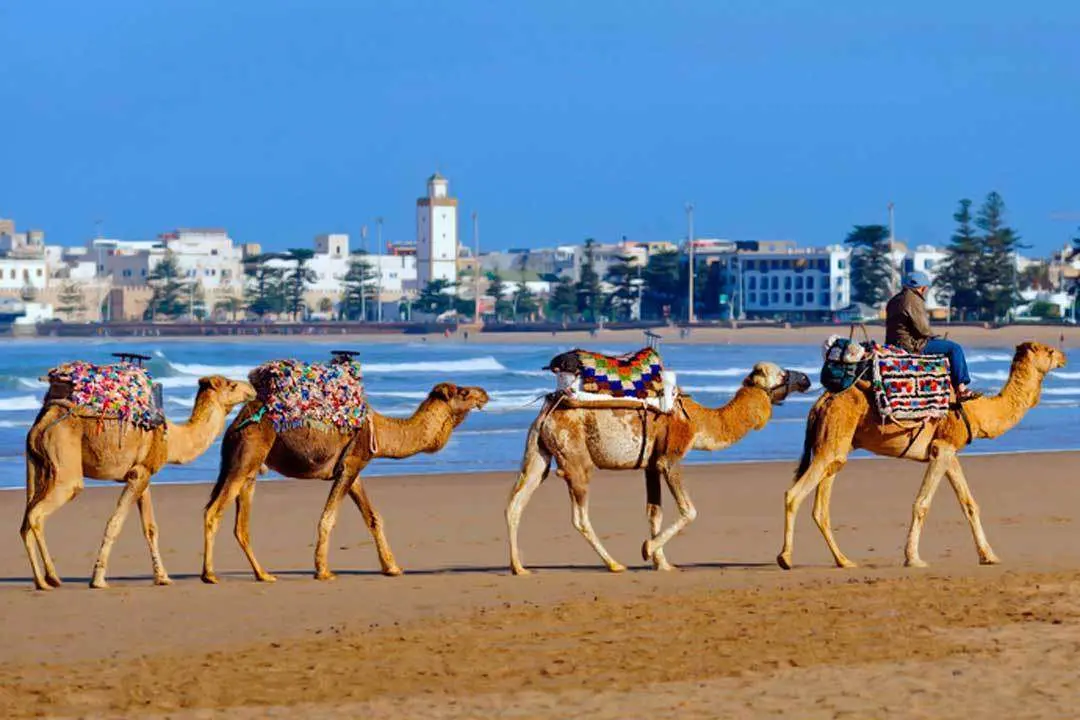 Turismo en Marruecos: Guía Completa con Lugares